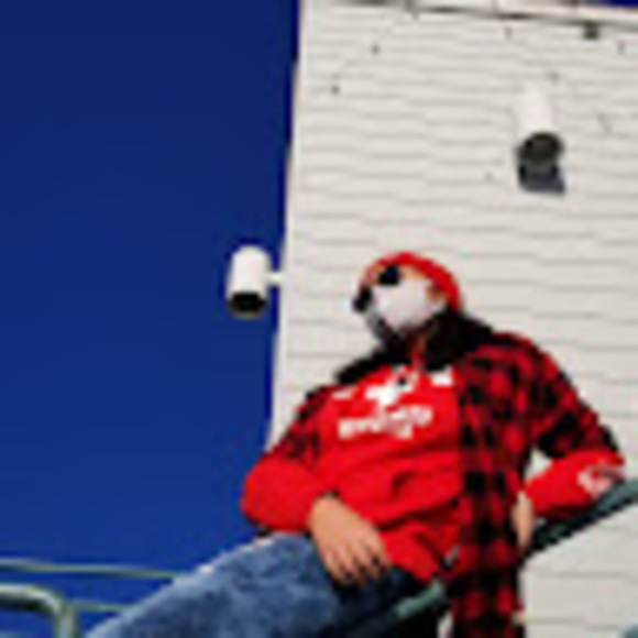 Meet your Posher, Elizabeth - Picture 1 of 1